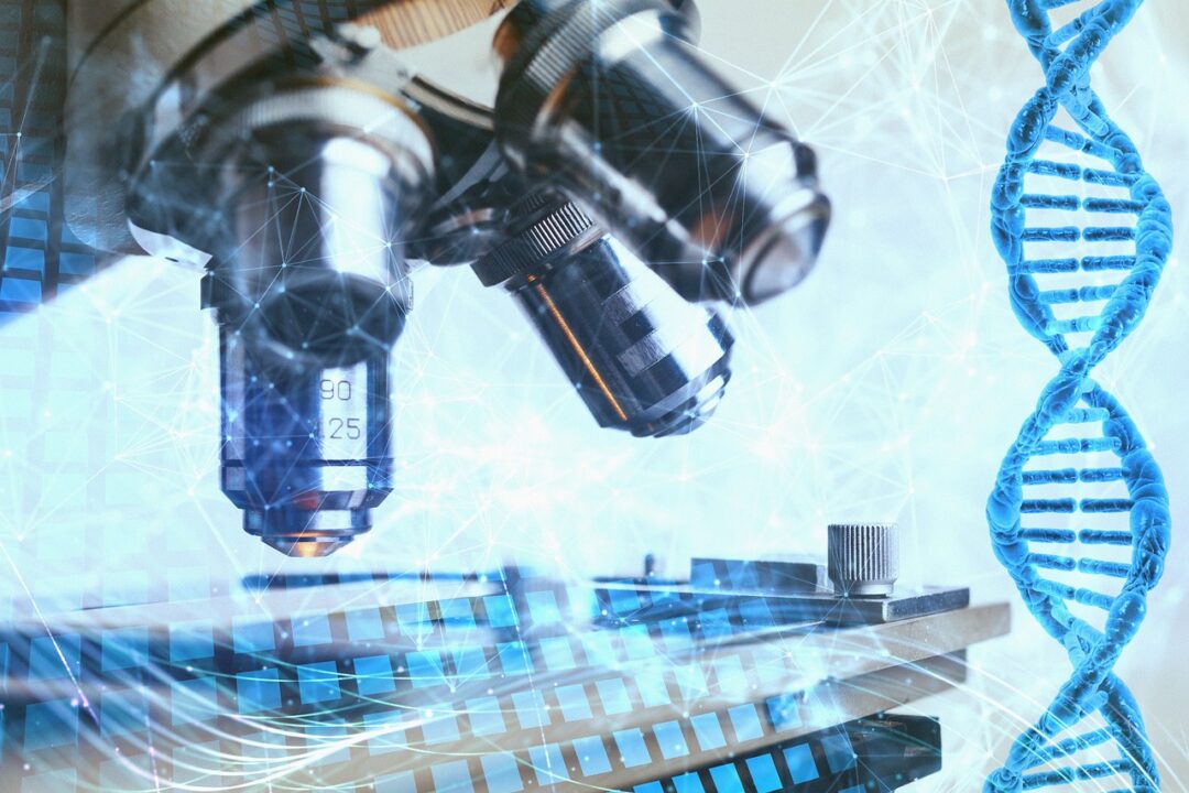 Au cœur de nos gènes : ce que dévoile un test ADN