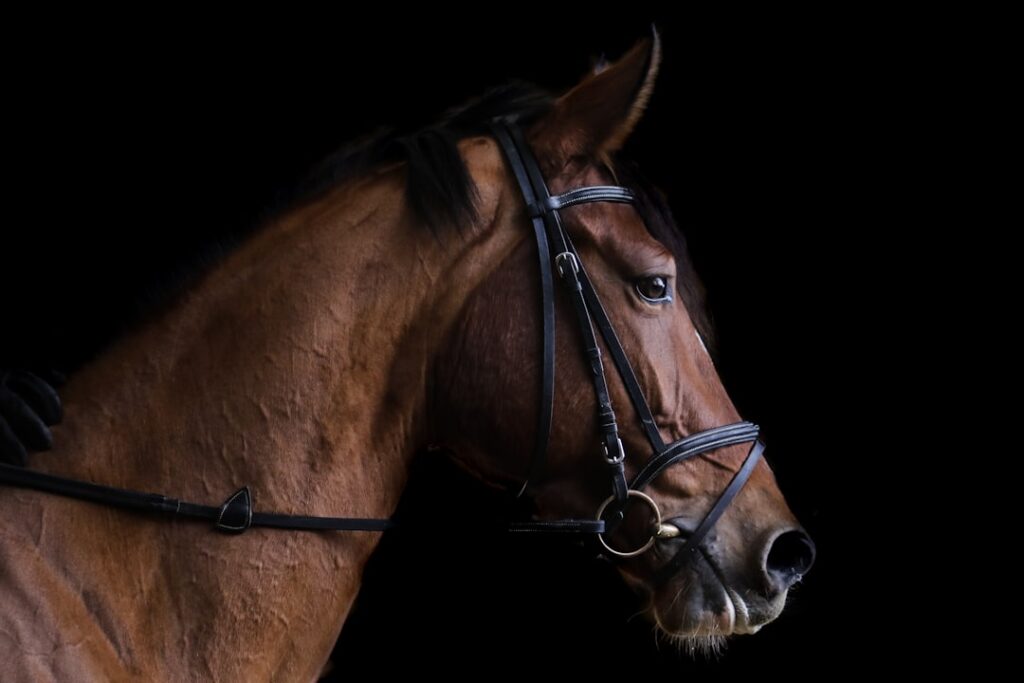 Alimentation pour Nettoyer Vos Reins Naturellement - Perfect Skin
