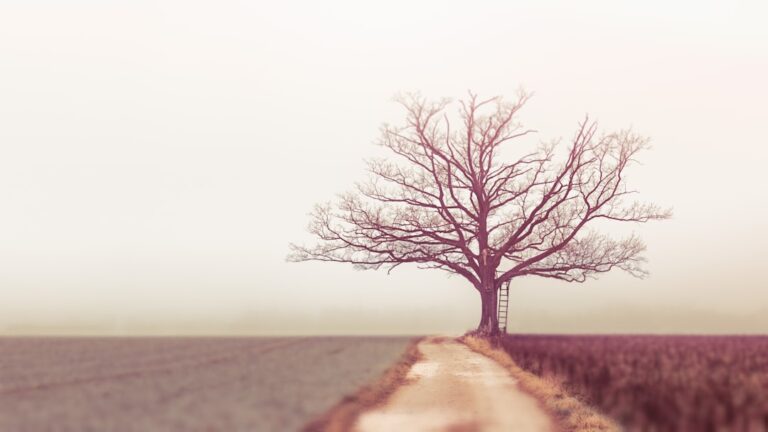 Évitez ces 5 pièges psychologiques de la solitude - Perfect Skin